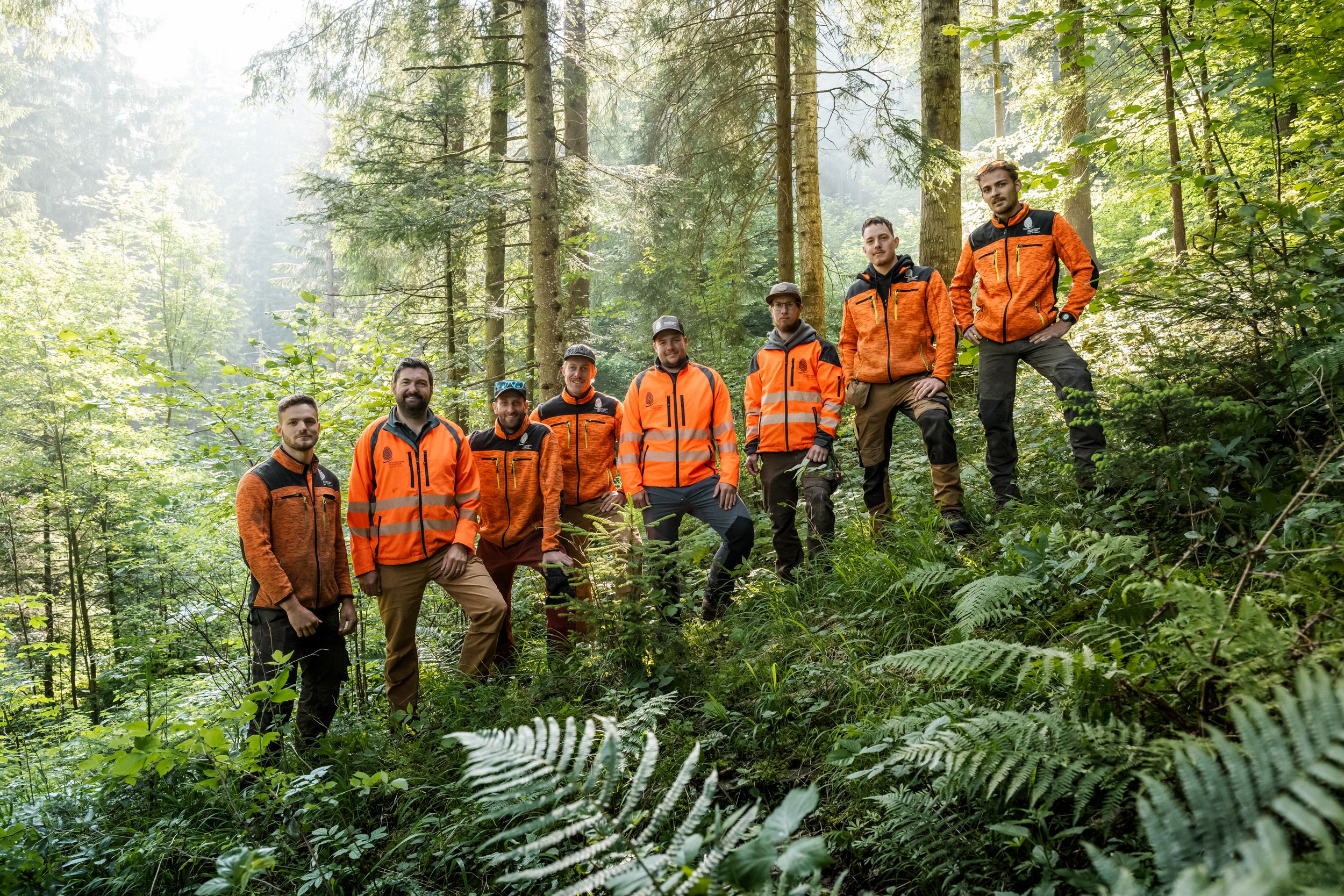 Groupement forestier du Pays-d'Enhaut ©Groupement forestier du Pays-d'Enhaut