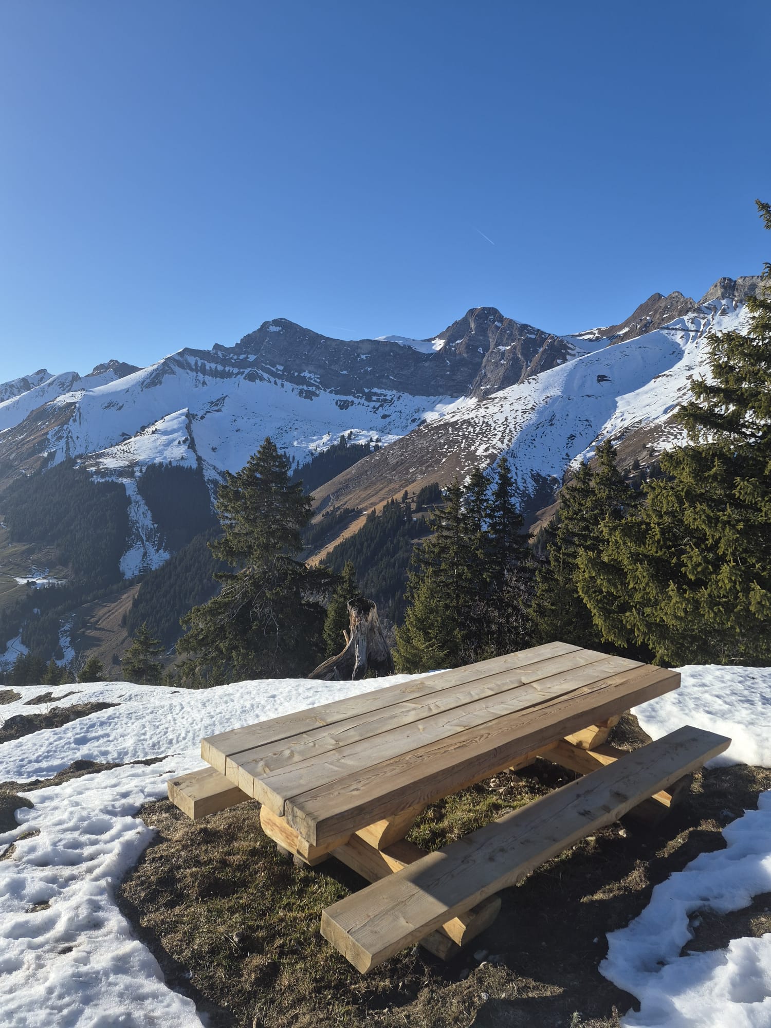 Artisanat forestier @gfpe