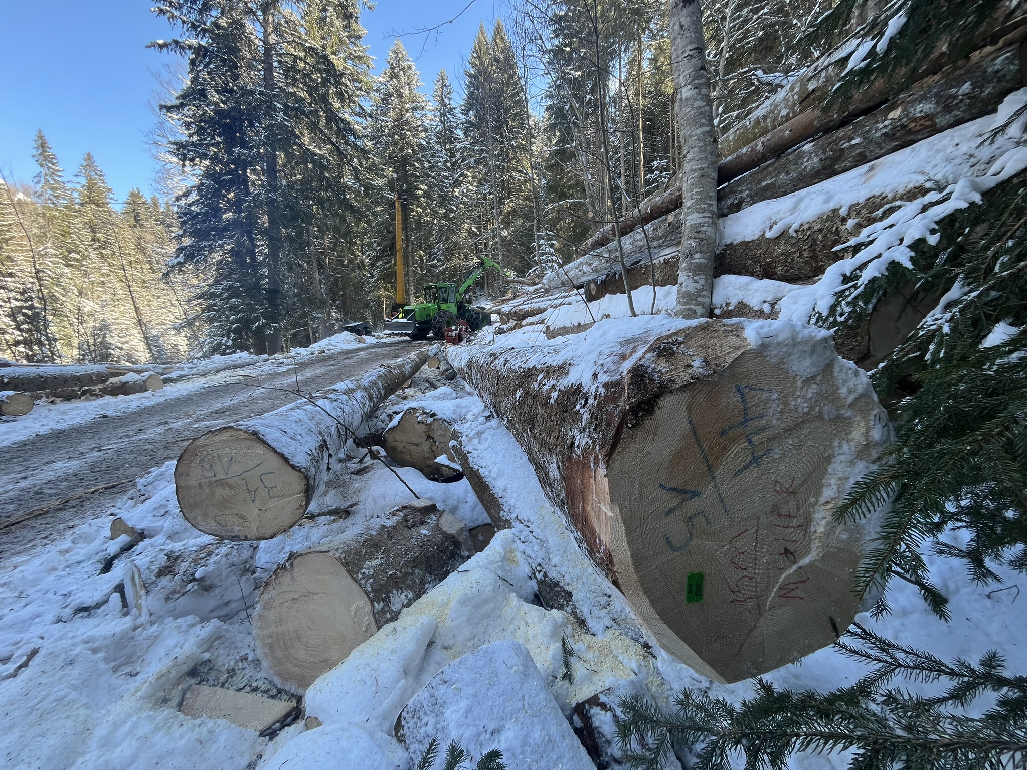©Groupement forestier du Pays-d'Enhaut